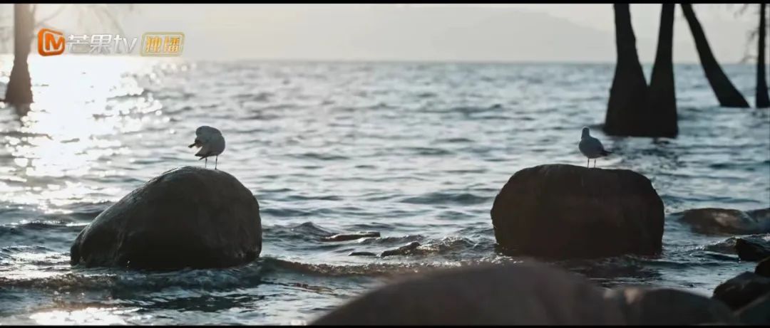 一起去有风的地方夏天,一起去有风有海的地方