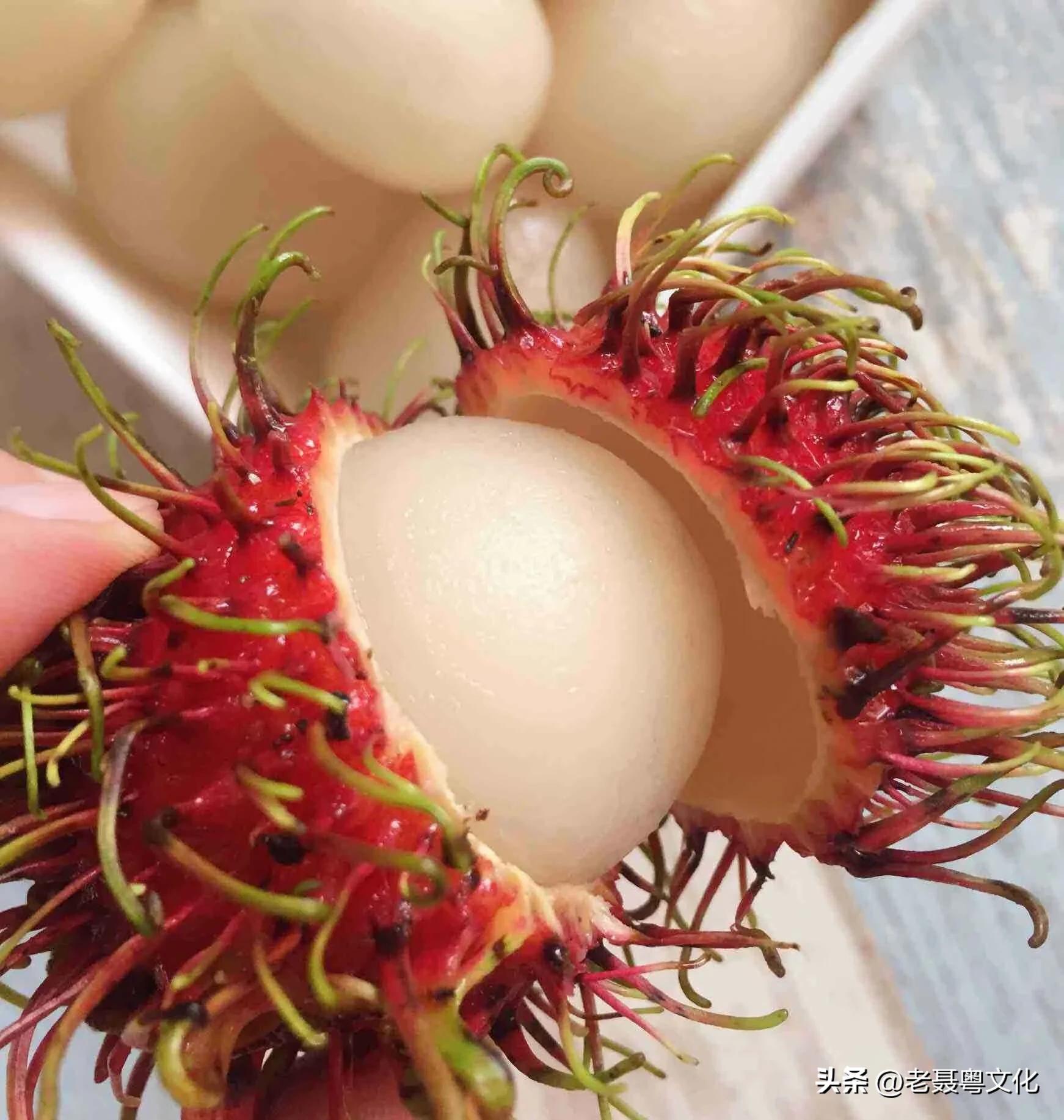 骞垮簻淇氳婧簮,骞垮簻淇氳