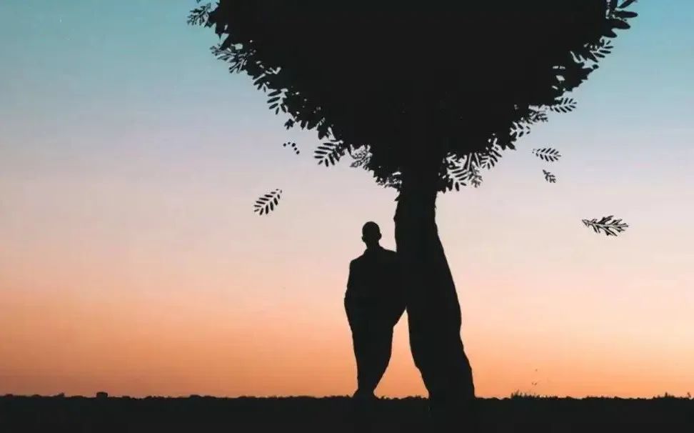 人生顺境时学会止损,人生要怎么及时止损