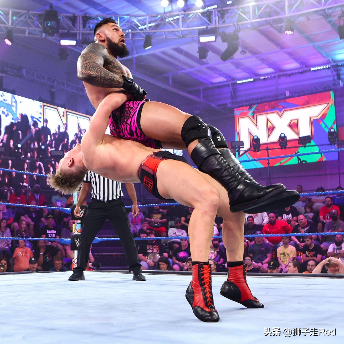 wwe第1163期完整版,wwenxt667期最新赛事