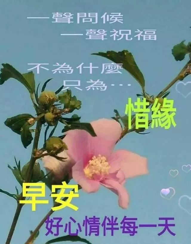 时光不老友谊不散早上好祝福短句,人生有缘风雨不散早上好表情图片