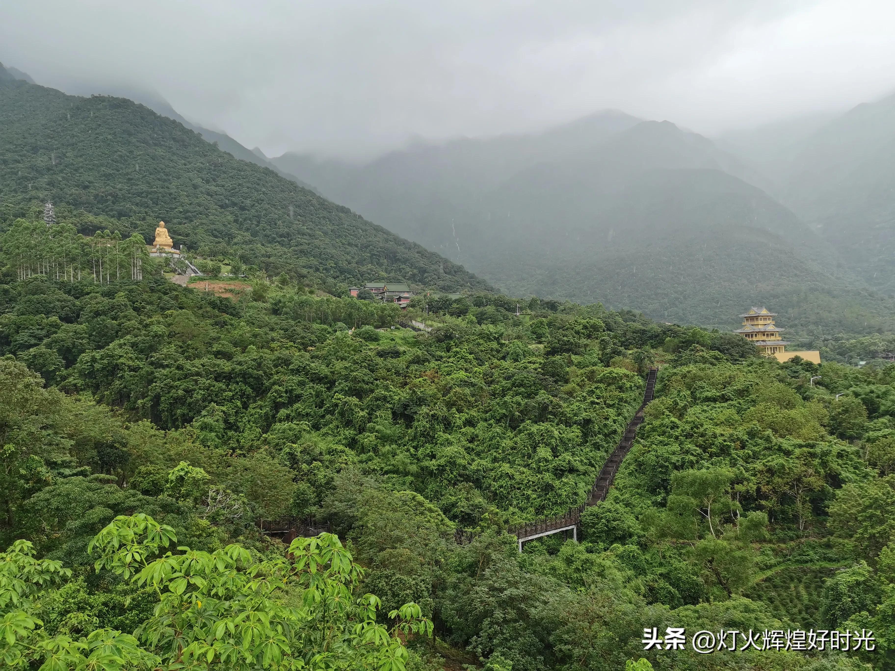 夏日掠影,雨天花开,人见人爱