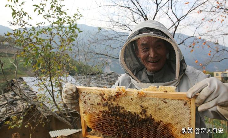 周正龙东北虎造假事件,周正龙养蜂致富