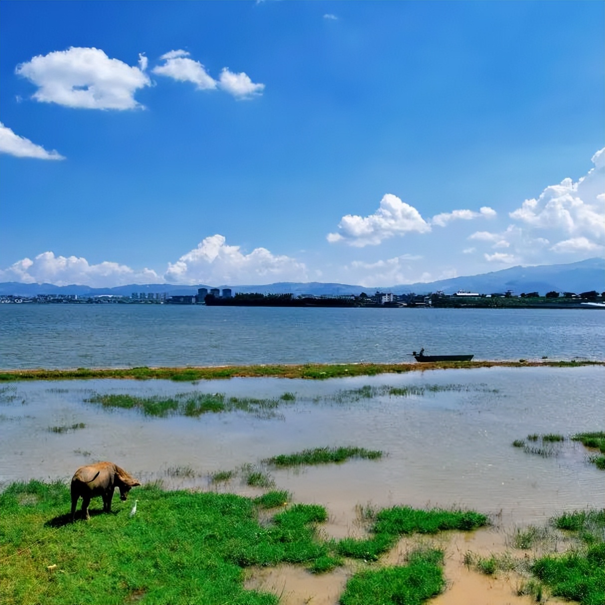 甩米线云南,云南甩米线的快乐