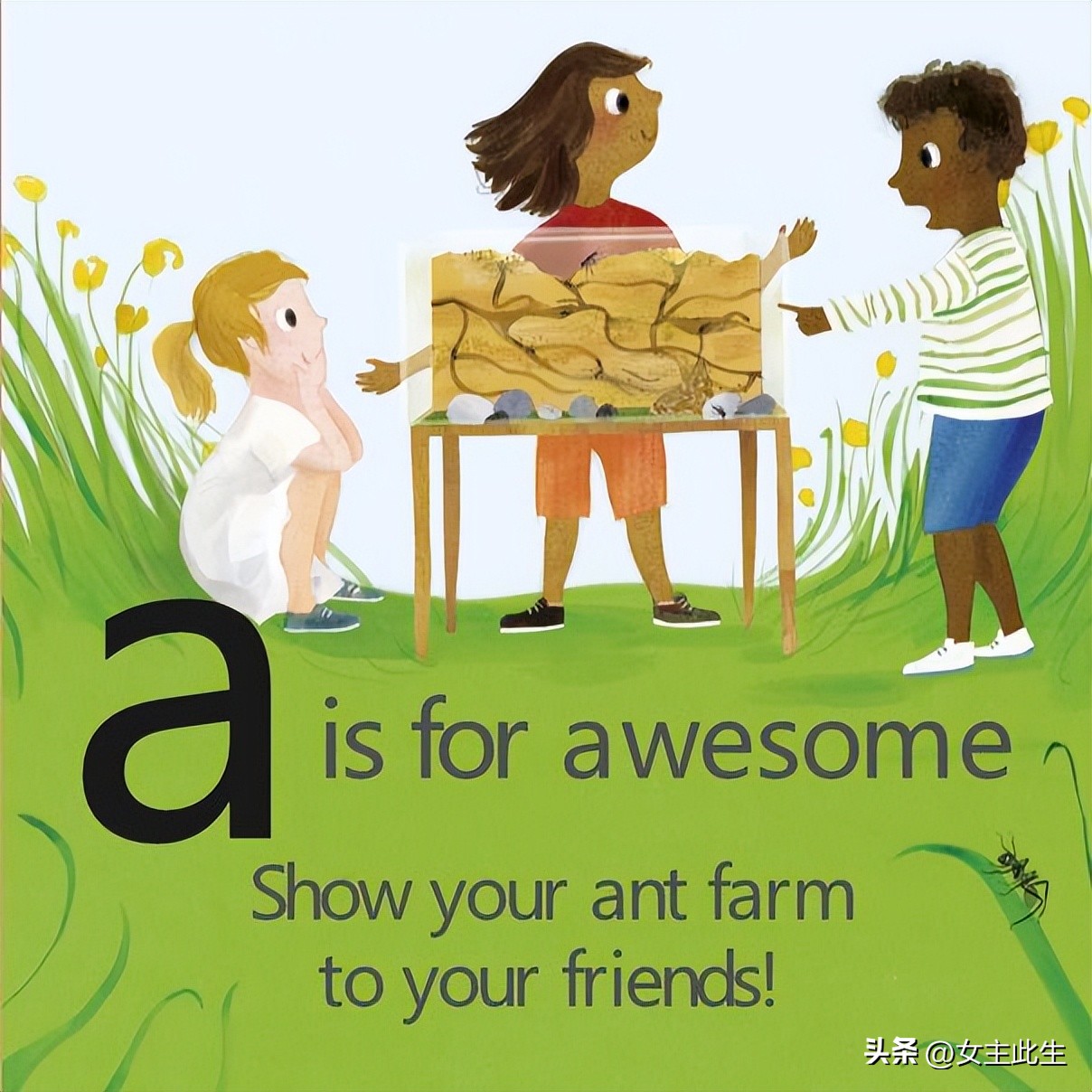 认识小动物的英语绘本,关于动物的英语绘本大全