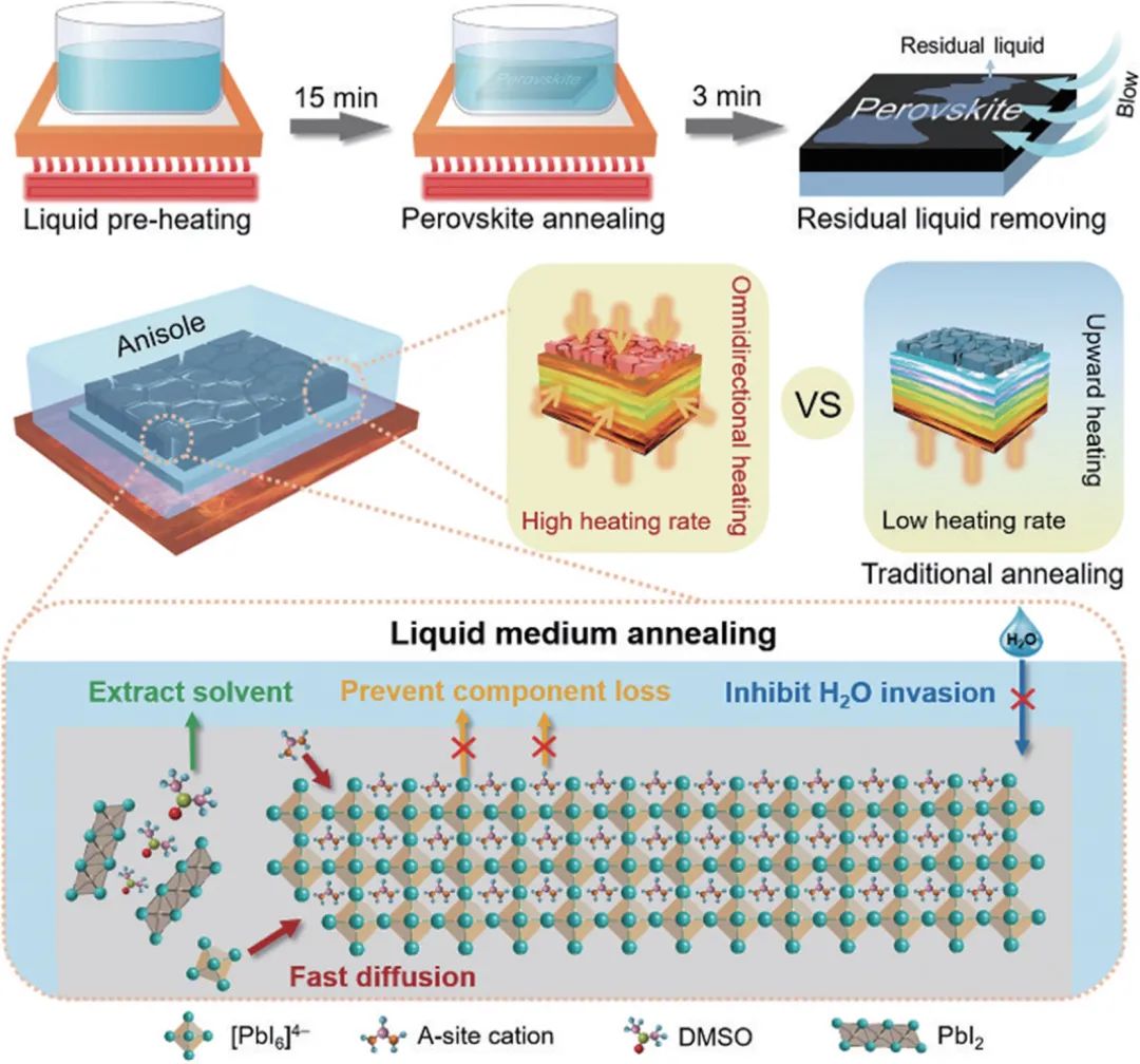 量子光学、太赫兹......2021年光学热点回眸（下）|回眸