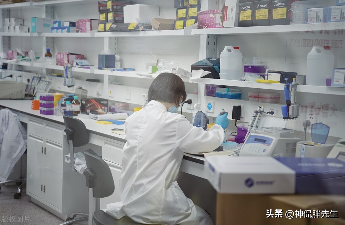 职场遇到喜欢抢你功劳的领导,职场中遇到恶心的领导抢功劳