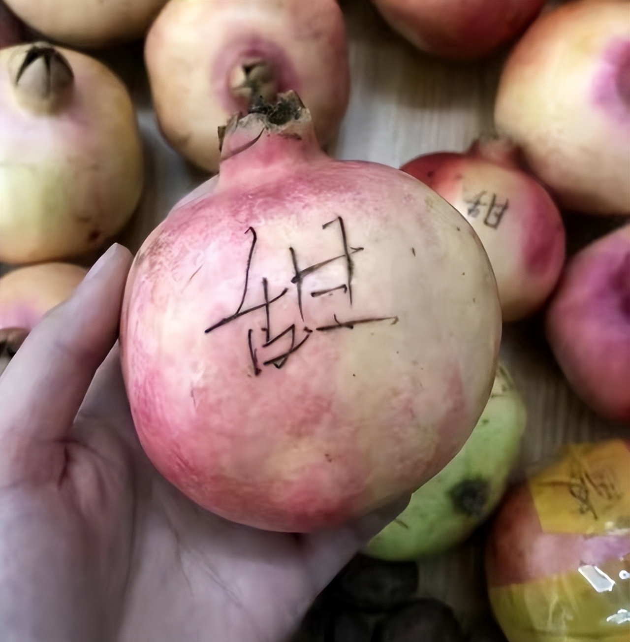 河南一女子朋友圈借钱300人打钱,女孩发300人微信借钱