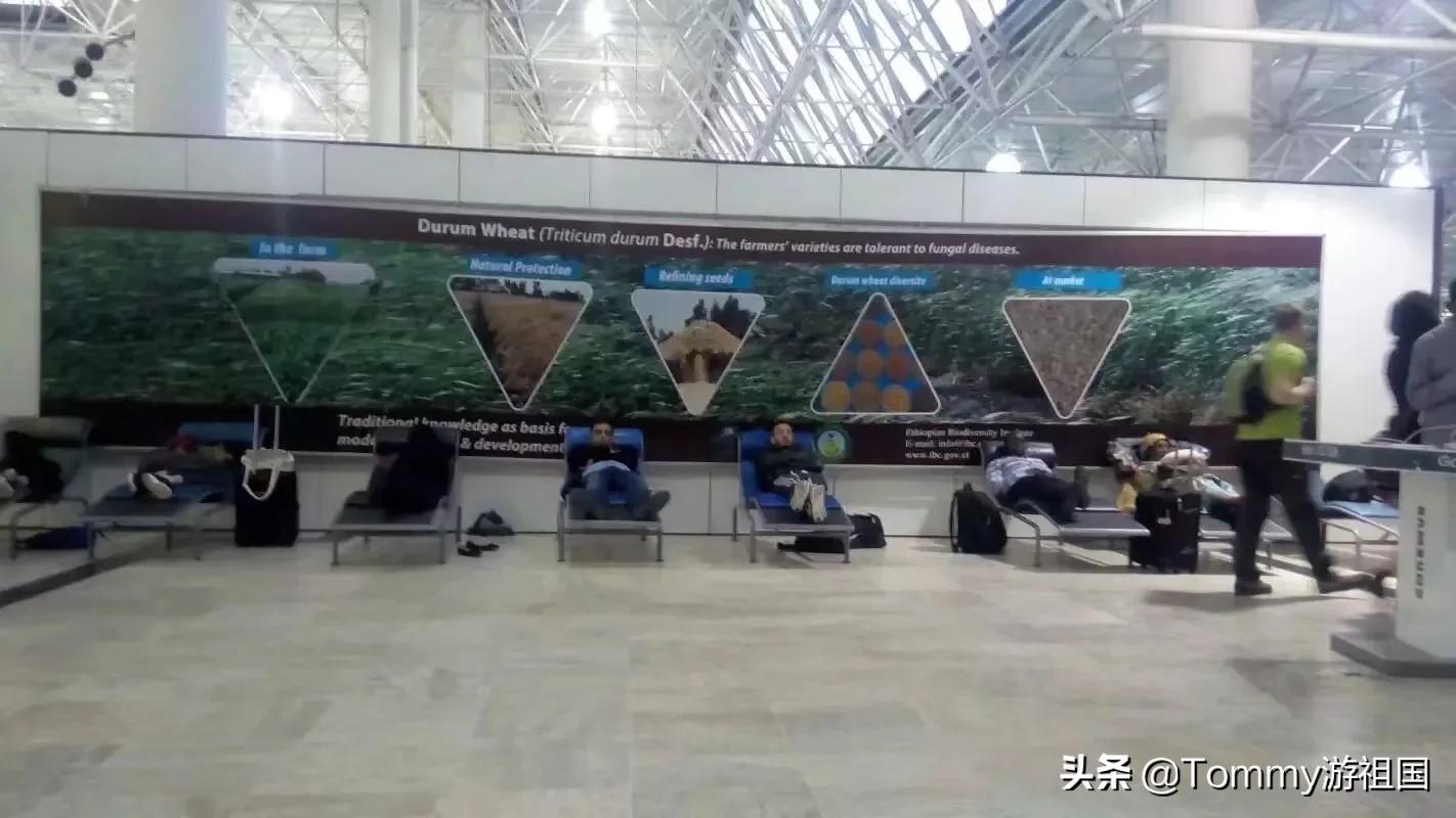 回忆去非洲做翻译的第一天