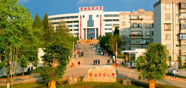 云南大学双一流大学值得读吗,云南大学是双一流大学吗