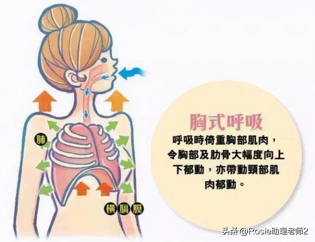 蔡文静上镜显胖的真实对比,蔡文静晒健身绝美腹肌照