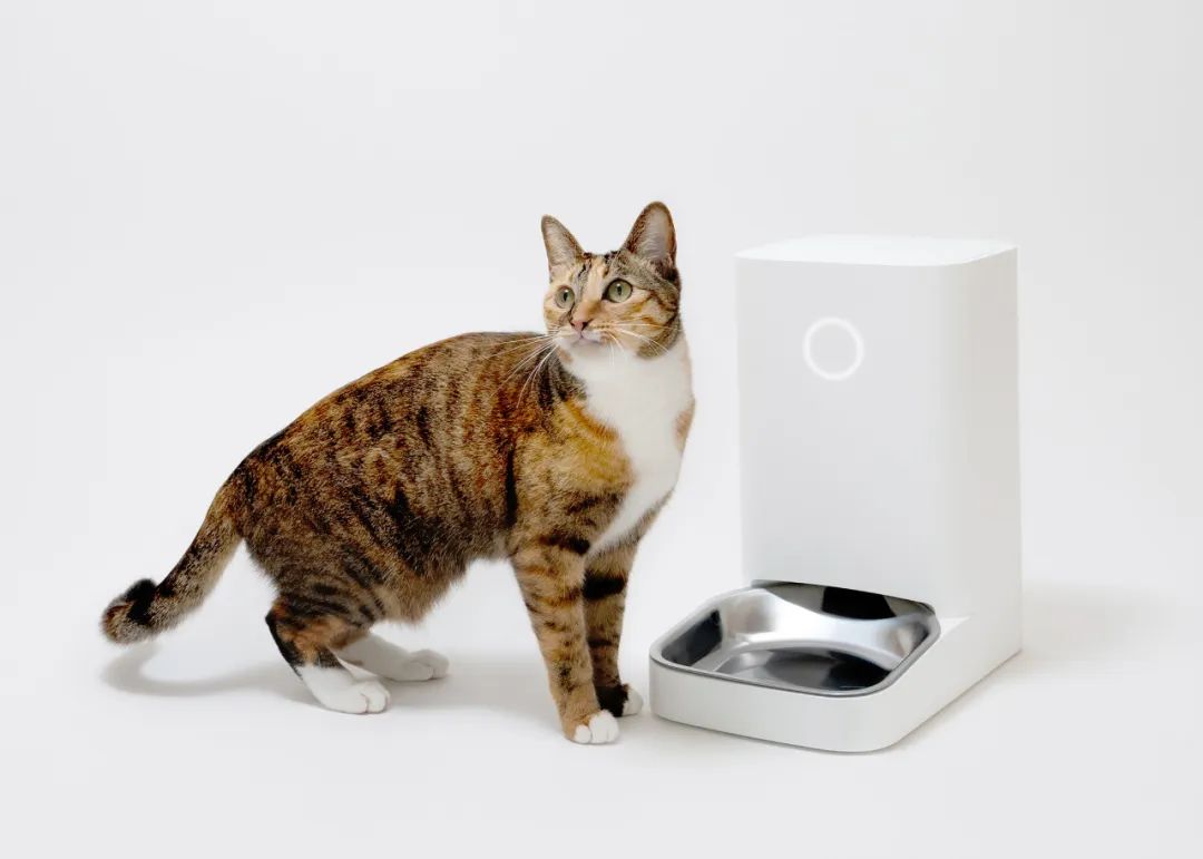 2022年iF设计奖：宠物用品类