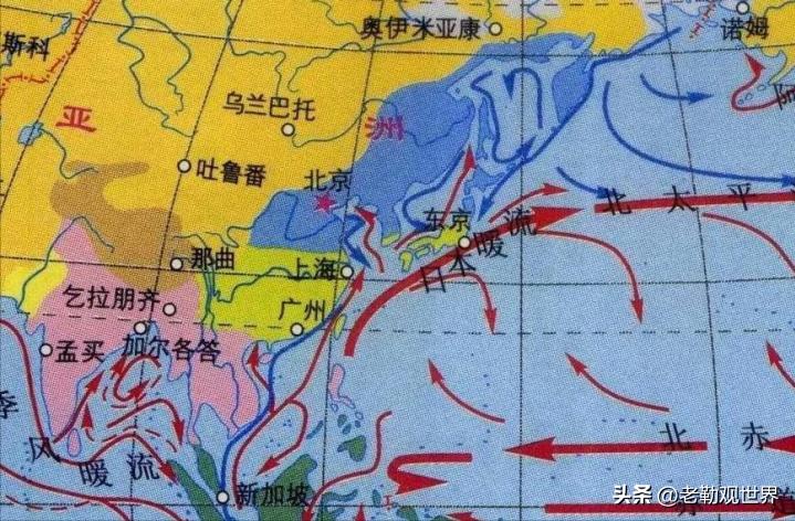 哪个一线城市最适合年轻人,哪个城市最适合年轻人奋斗