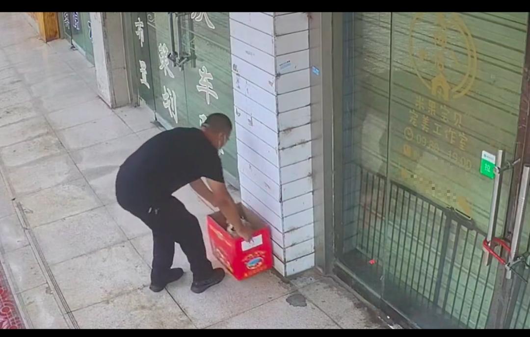 狗狗难产死胎在肚子里待久了,狗狗难产主人用手助产