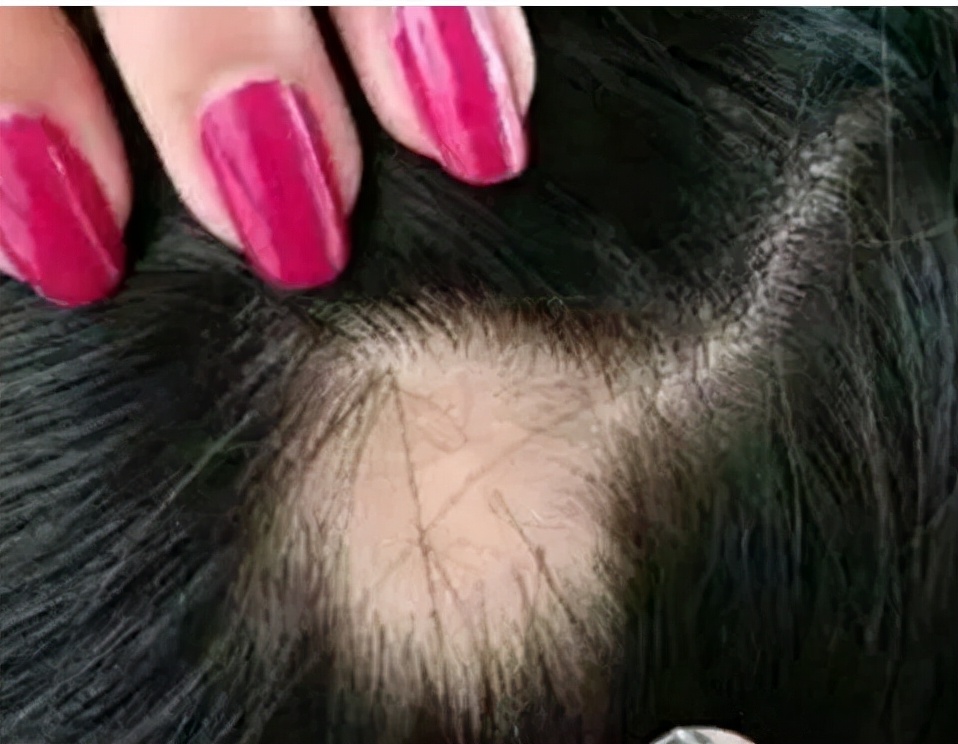 马博士的深度讲解,马博士中药