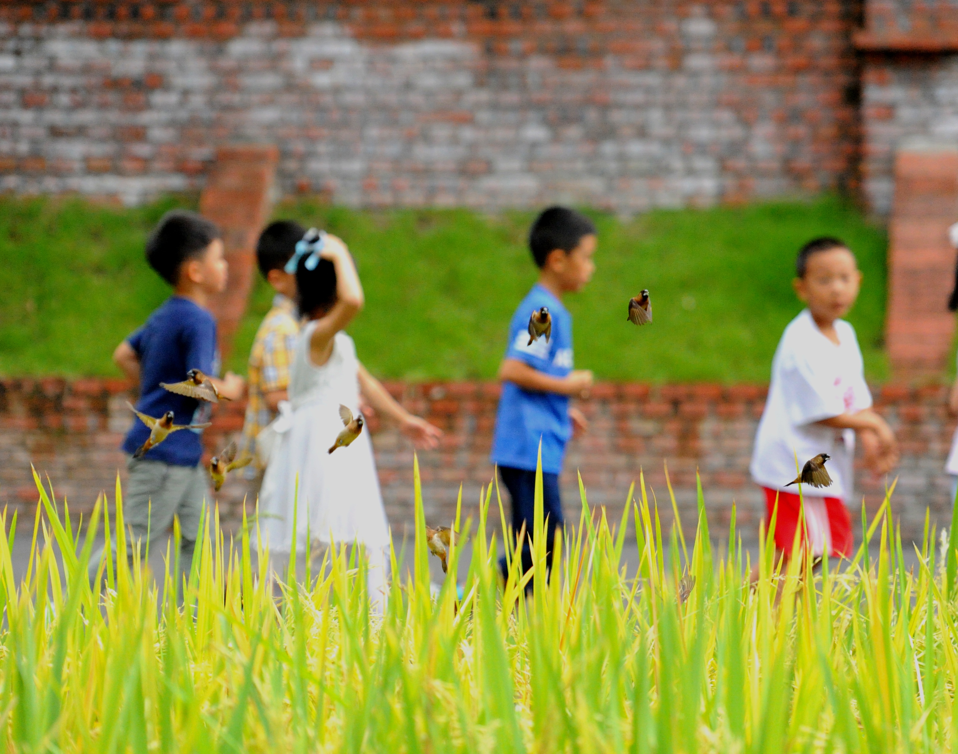 向儿童学习以儿童视角办学童心小学教育集团自然而然做教育
