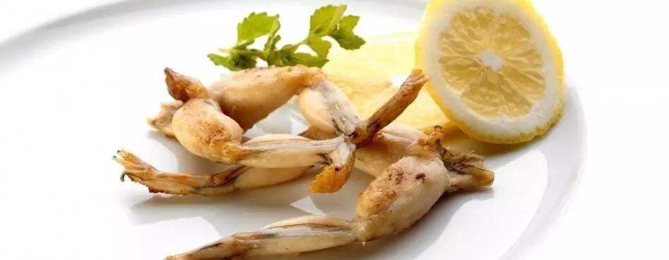 10年6.88万吨野生青蛙端上餐桌，欧美绅士们，请别把青蛙吃灭绝了