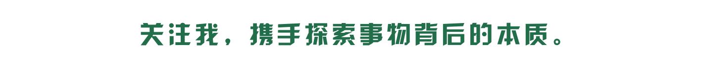 其实你不懂进化论:揭开进化论的面纱,哲科巨匠们的思想碰撞
