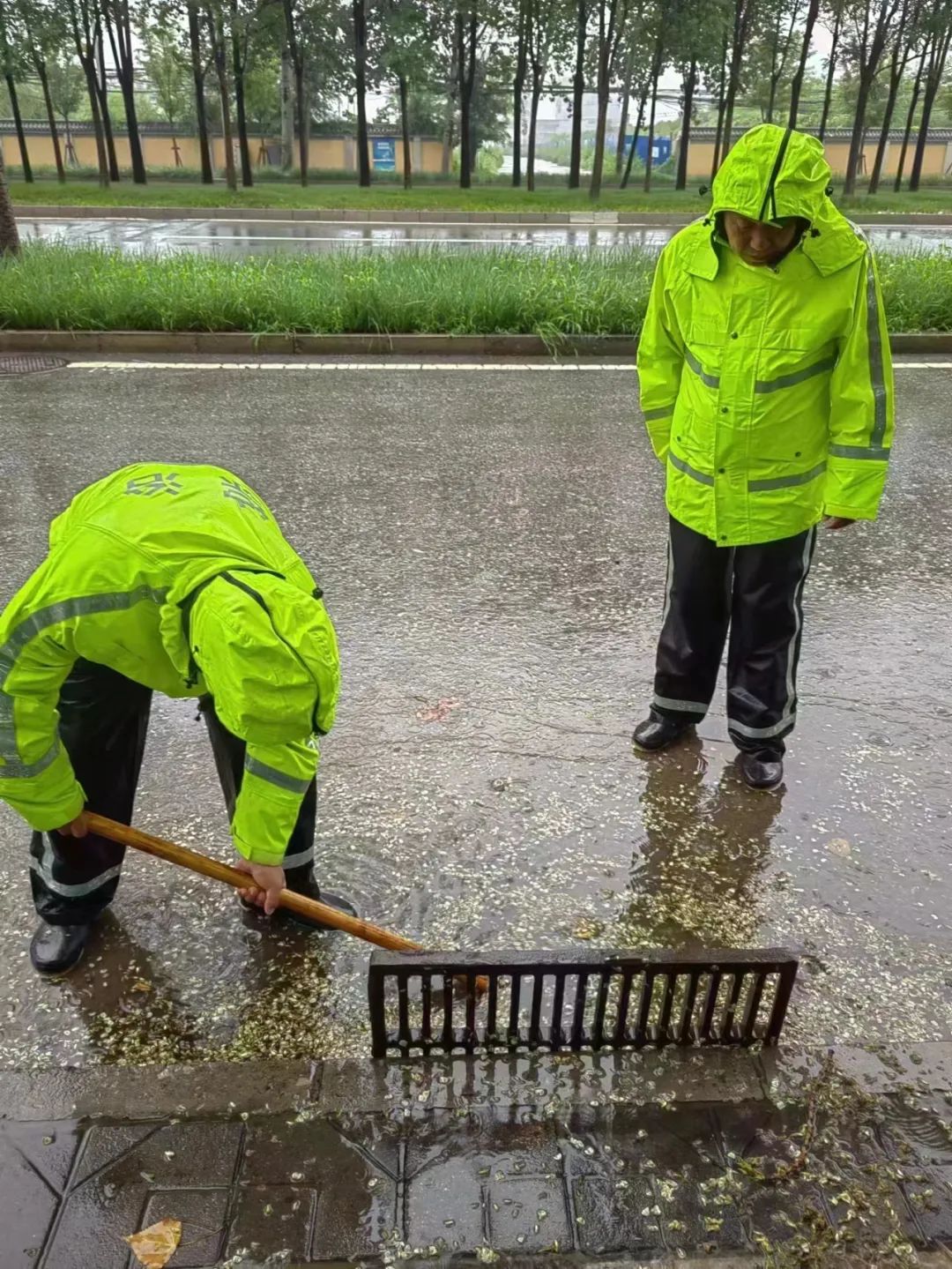 海淀暴雨视频大全集,海淀暴雨直播