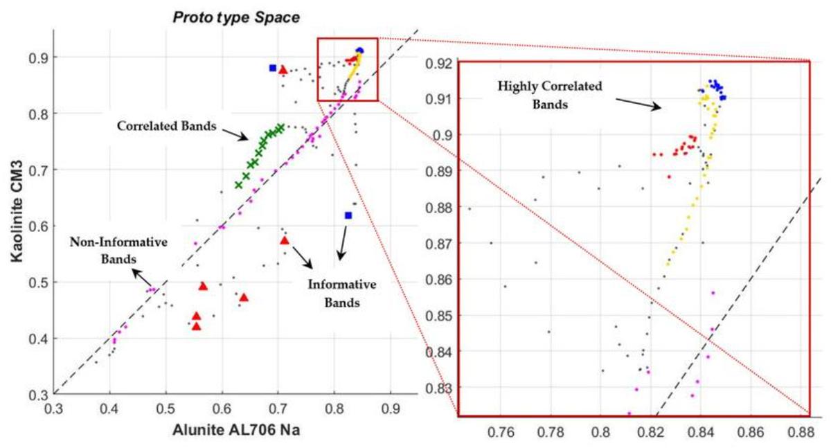 探索海洋固氮蓝藻毛滴虫联盟的转录活性，揭示水平氮循环潜在机制