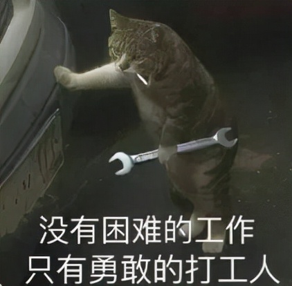 离婚女主持私生子,离婚女主持