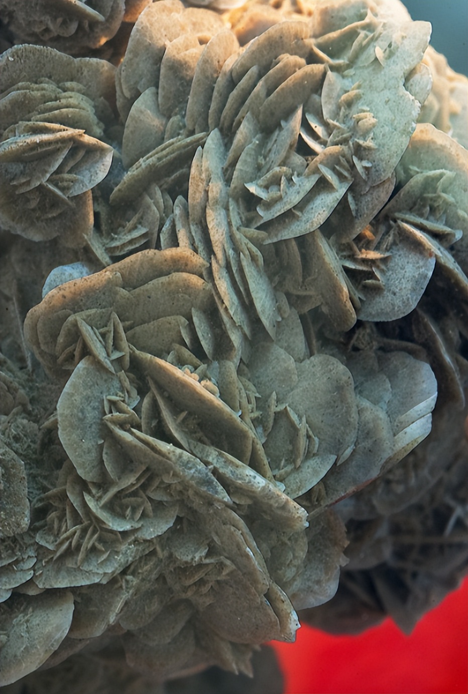 沙漠玫瑰原生地景观,沙漠里的沙漠玫瑰奇特景观