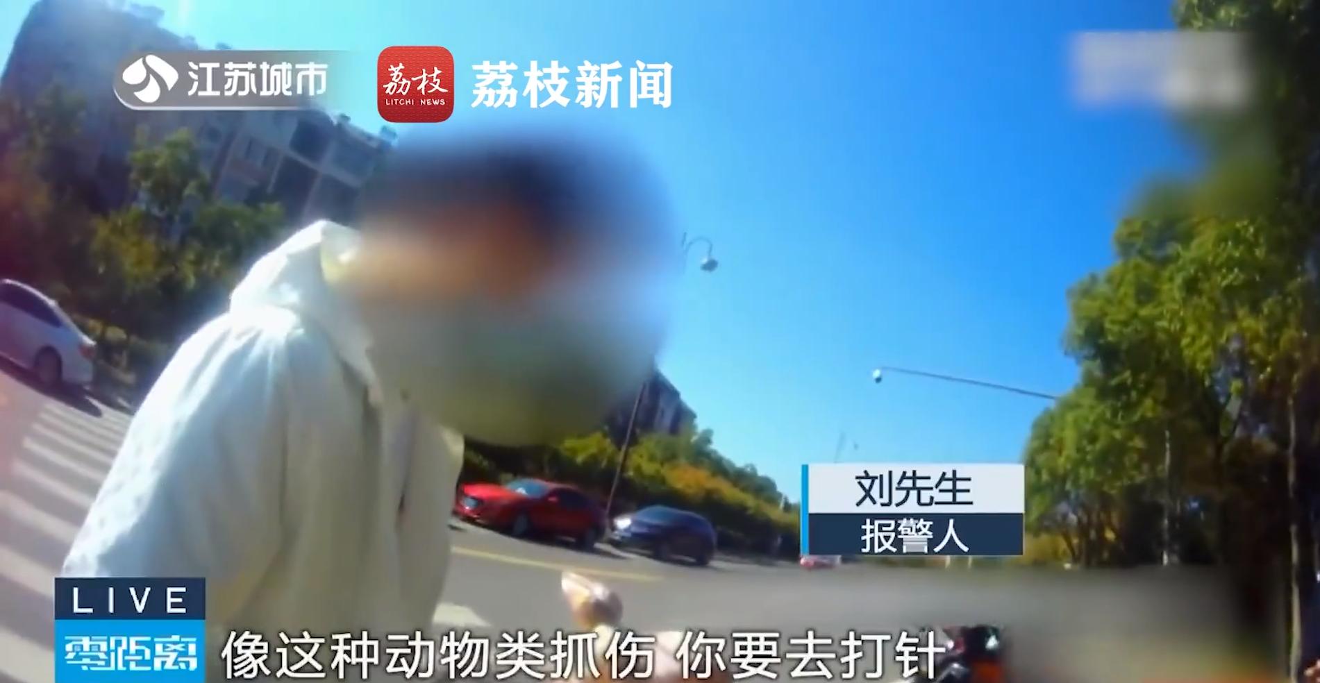 野外发现罕见的白狐,南京市民在路边捡到北极狐