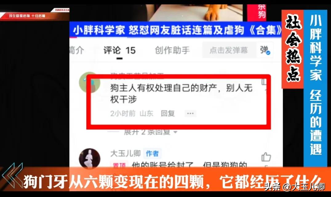 狗狗门牙为什么只有五颗,狗狗五颗牙和七颗牙的区别