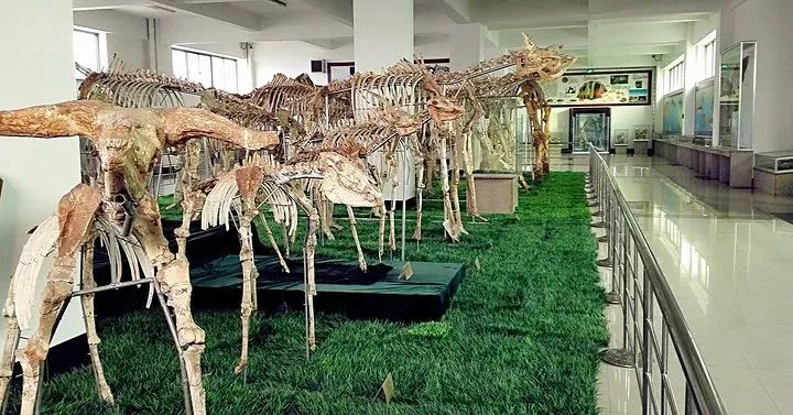 去临沂玩的免费攻略,来临沂推荐去玩的地方