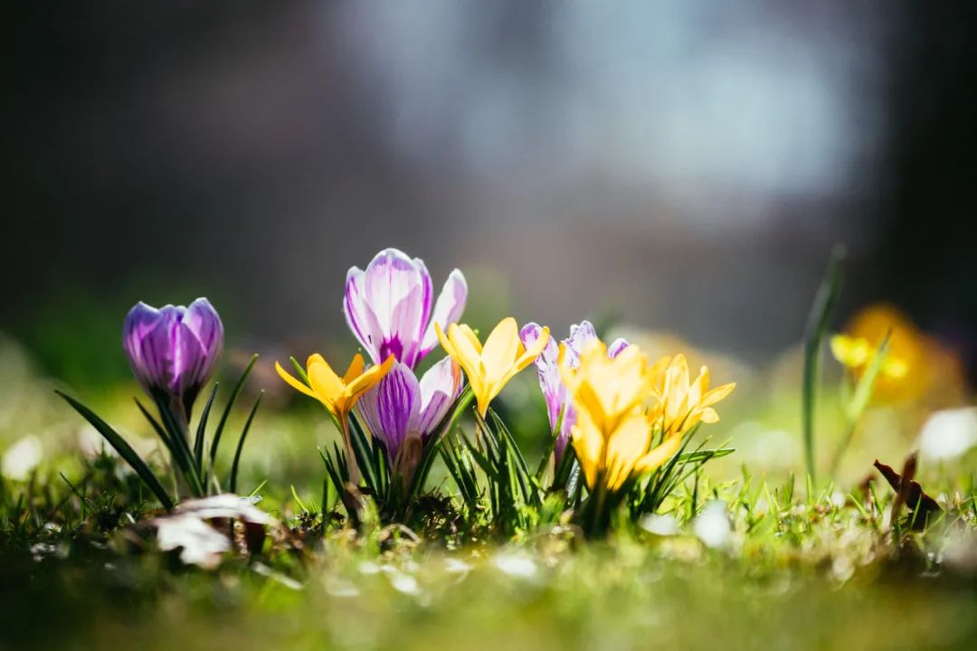 那些惊艳到世人的绝美成语,18个最美成语