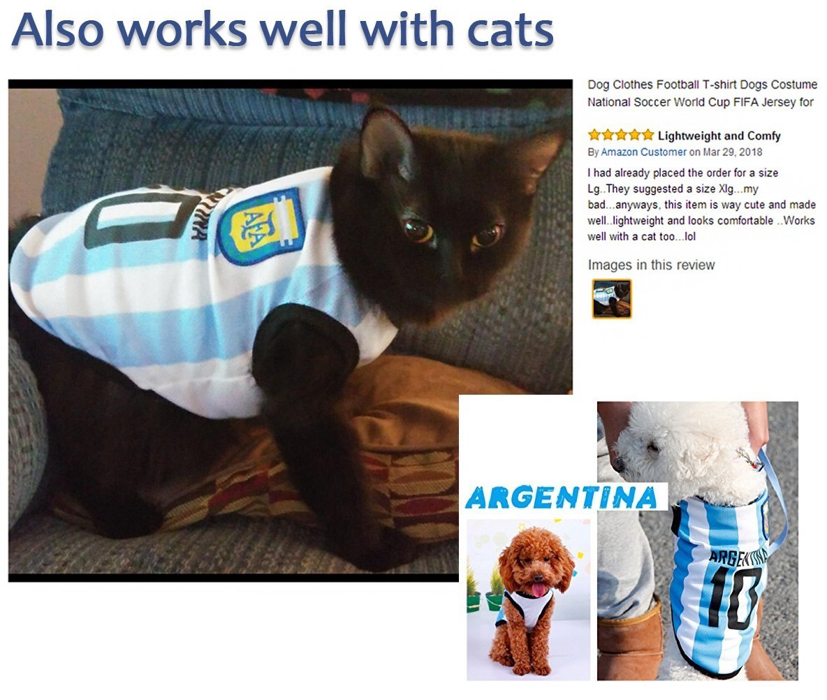 英阿马岛主权之争中方立场：英方有什么好大惊小怪的？