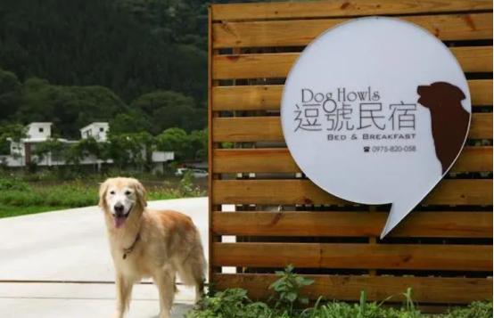 台湾最强民宿攻略,去台湾玩推荐住哪
