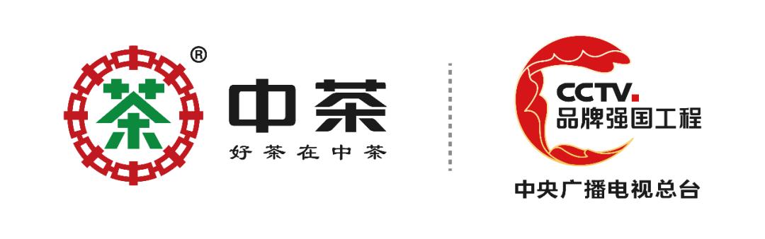 中茶黑茶品鉴,助力终端618全面打响