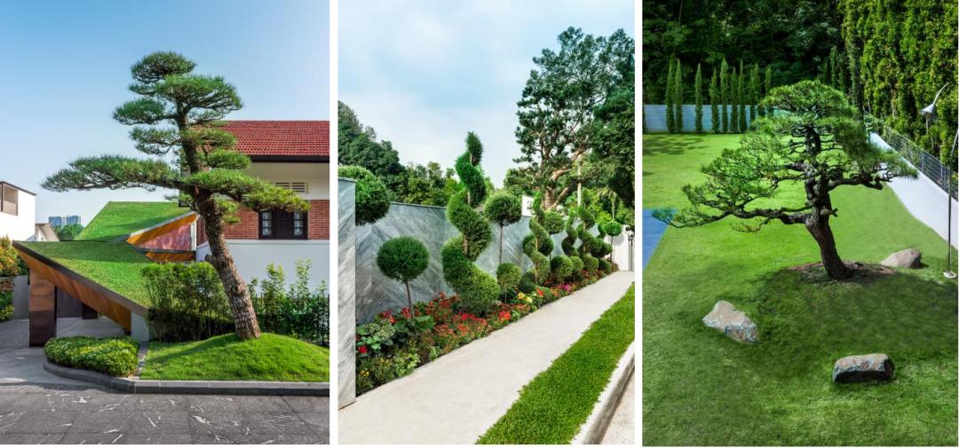 豪宅顶级藏品,顶级四合院式豪宅