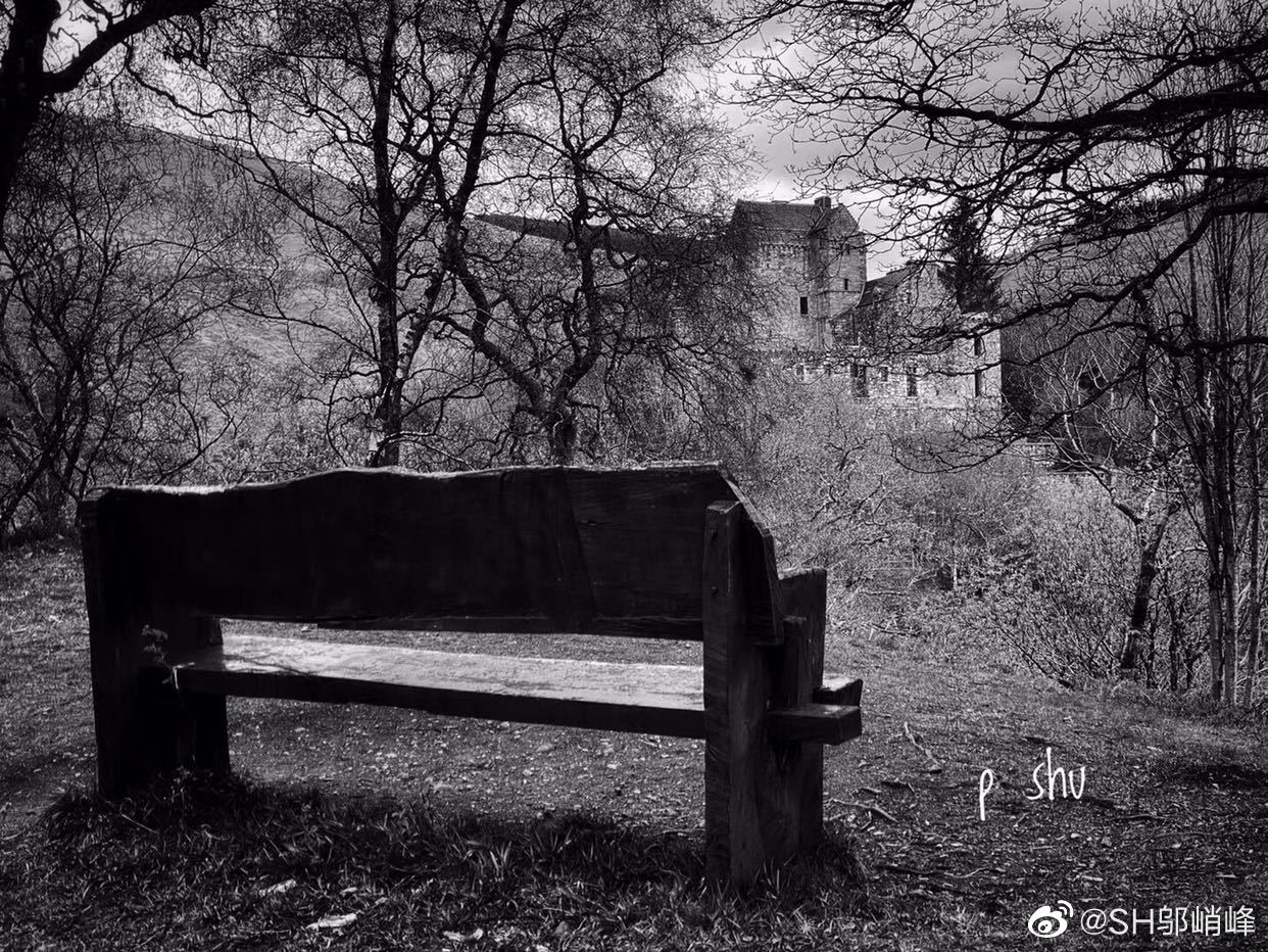 阿蒋的经历,阿蒋的真实身份