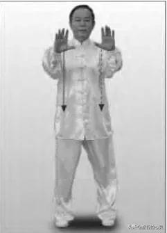 陈氏太极拳24式图解步骤,24式太极拳图解说明和要点