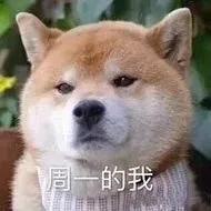 周一早安问候表情包,又到了周一表情包