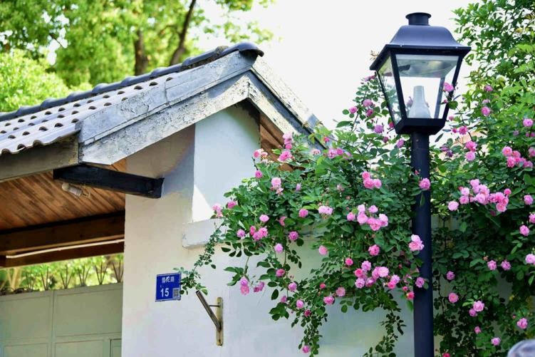 图集丨新“金陵48景”之二十一:颐和公馆