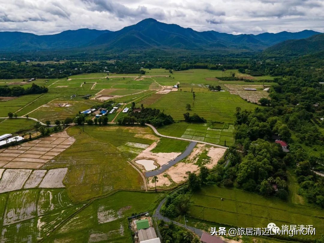 泰国清迈农场美食,清迈美食攻略必吃水果