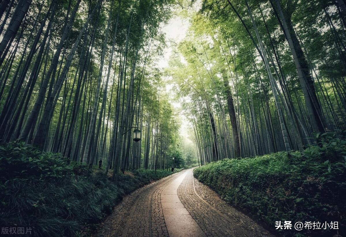 杭州新西湖十景更适合游览哪一景,杭州西湖新十景游玩攻略