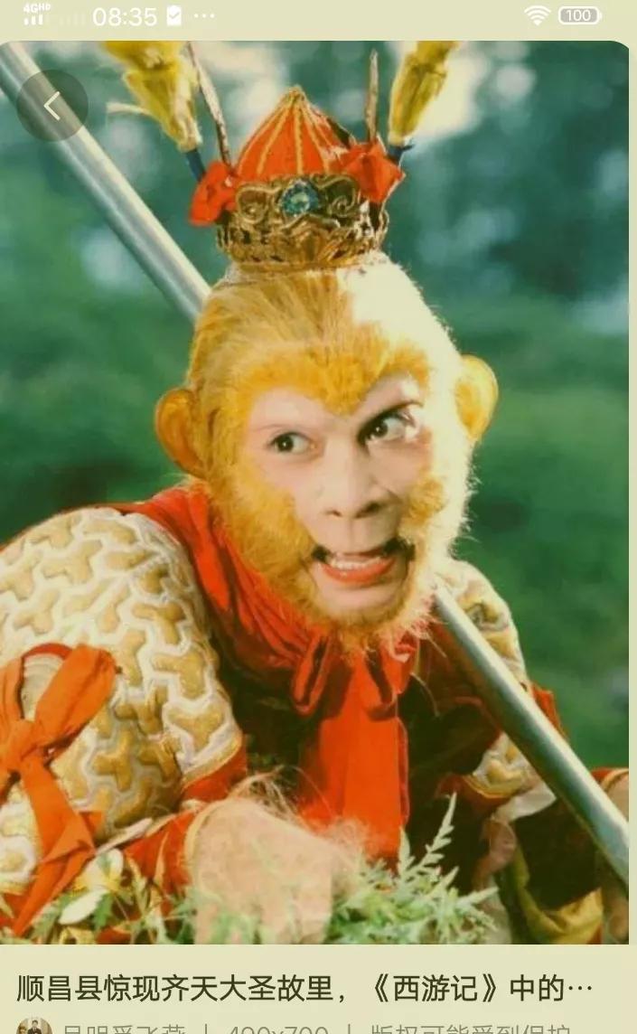 农民地里种什么赚钱收益快 (今年农民种什么最赚钱)