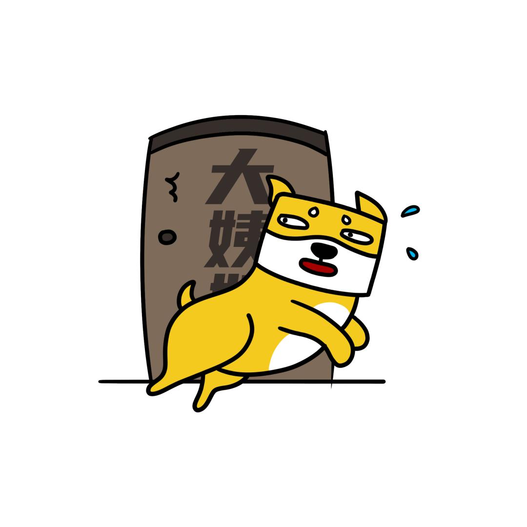 狗第一次来大姨妈之后变颜色了,当狗狗第一次来你家