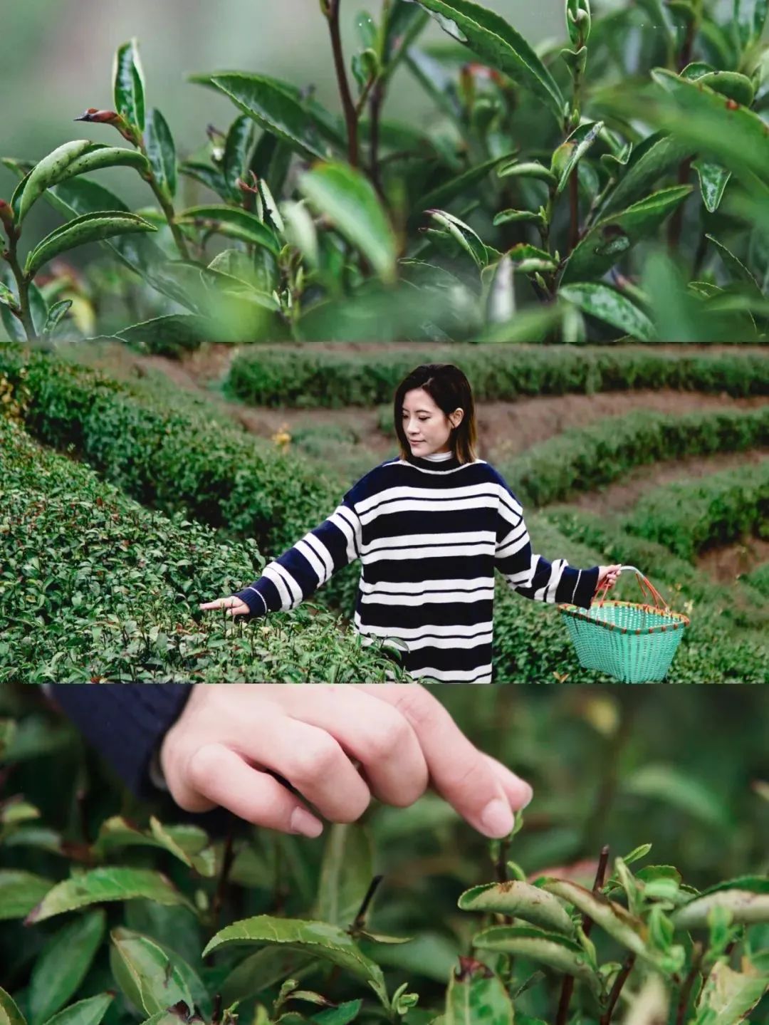 光山两天一晚上的旅游攻略,光山五一旅游路线图