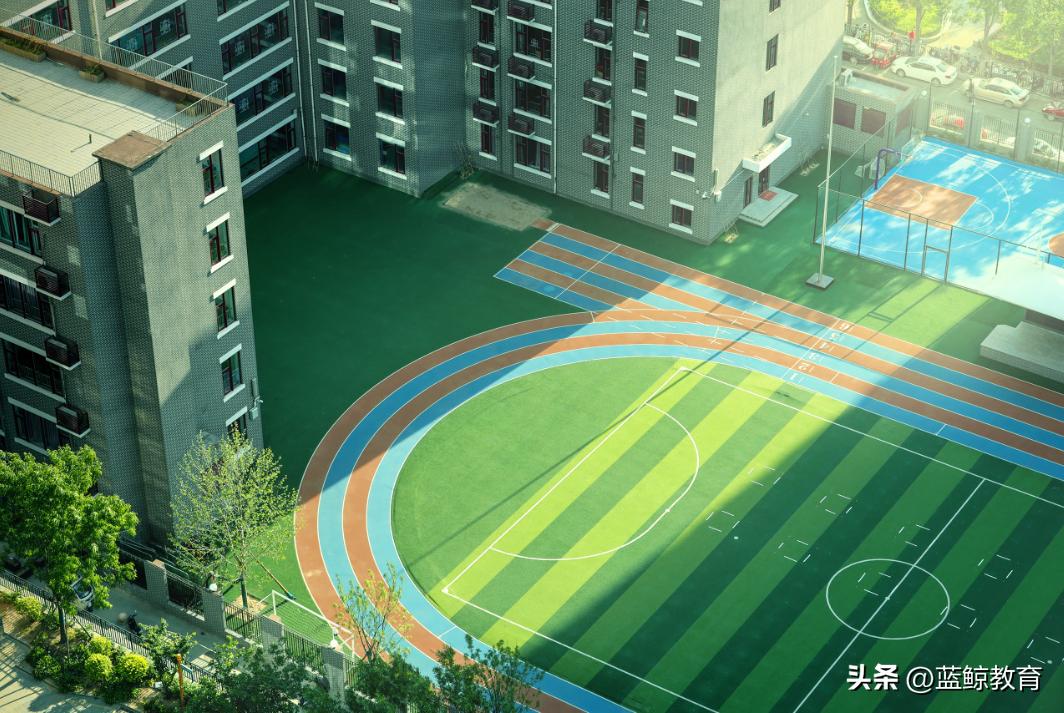 停止买买买后，“三本之王”中教控股过得好吗？