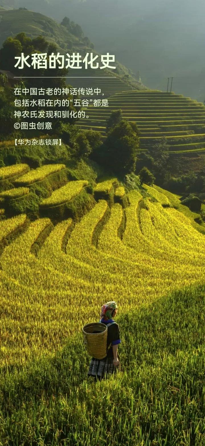 华为手机的最全宝藏功能,华为手机所有宝藏功能