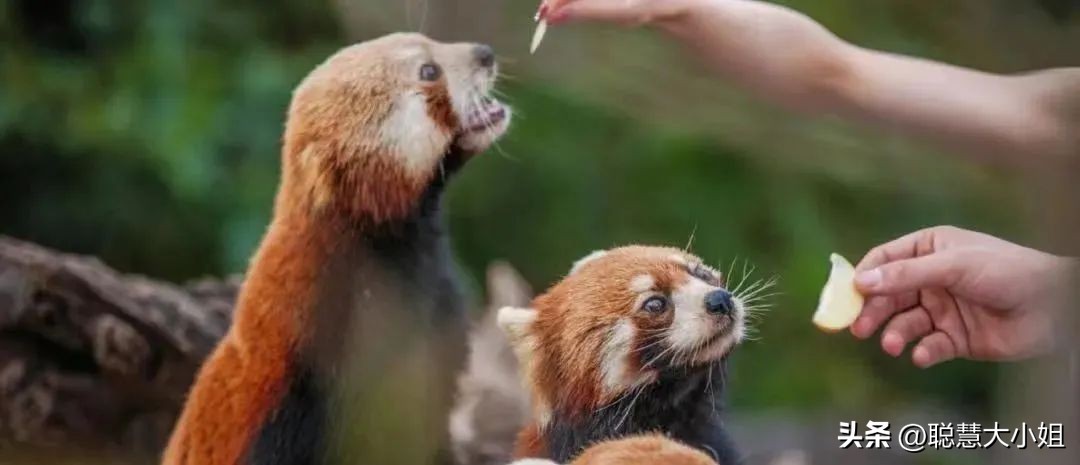 云南，80%年轻人最爱的度假圣地