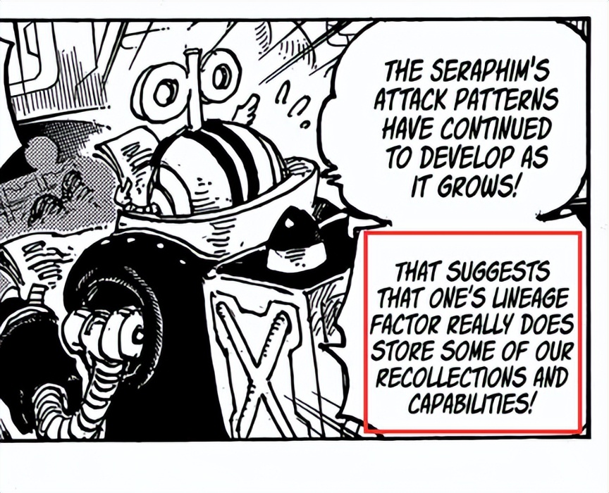 「流星电台」海贼王10641065分析-高质量解读