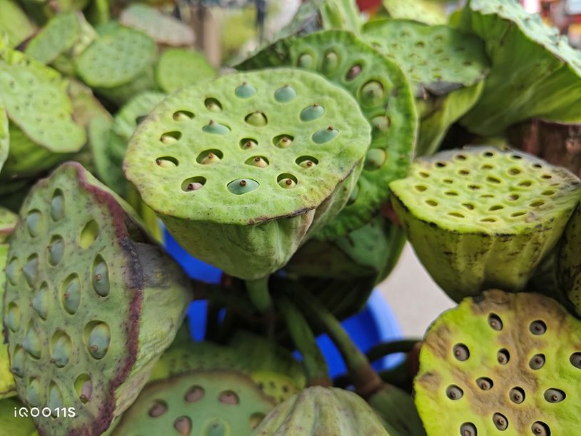 全面升级性能测试,iqoo11s深度测评属于旗舰吗