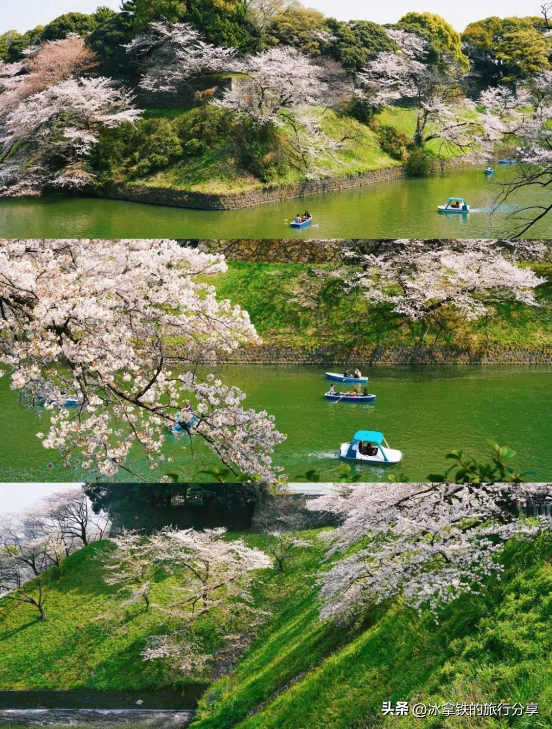 全球第八家宝格丽,最新的宝格丽酒店