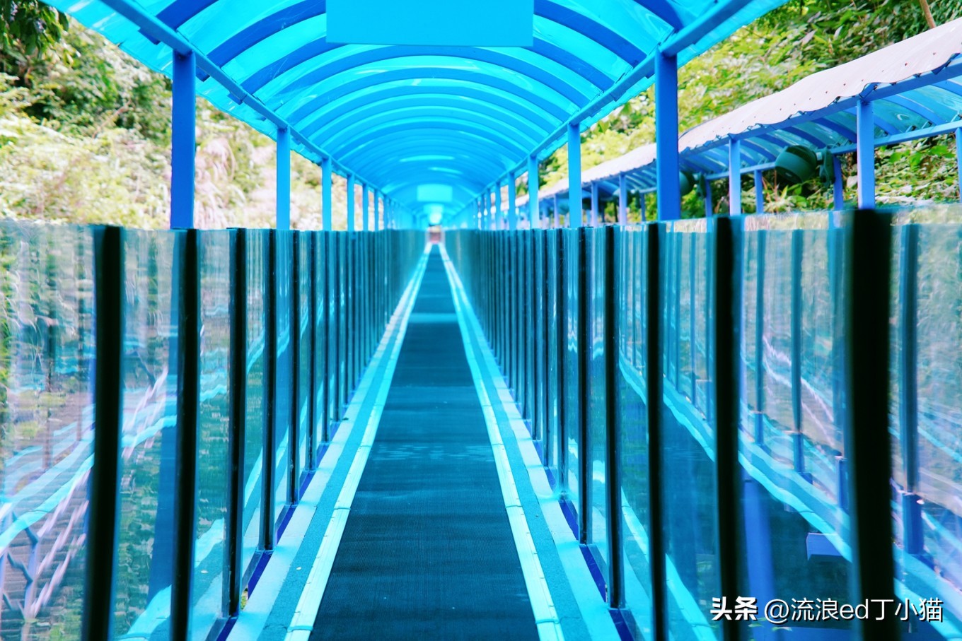 杭州周边游桐庐夏日避暑漂流攻略,桐庐夏天附近避暑最佳旅游地